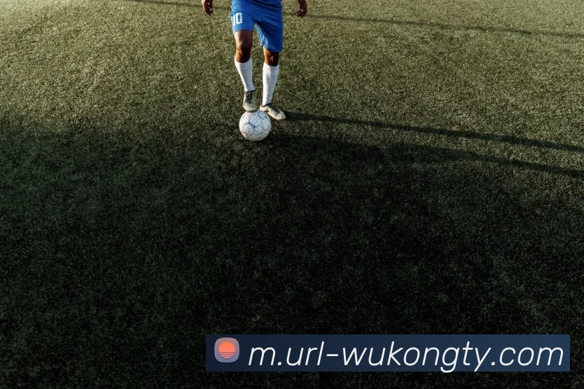 悟空体育APP 高清赛事图